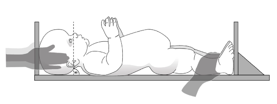 fig-semio-comprimento