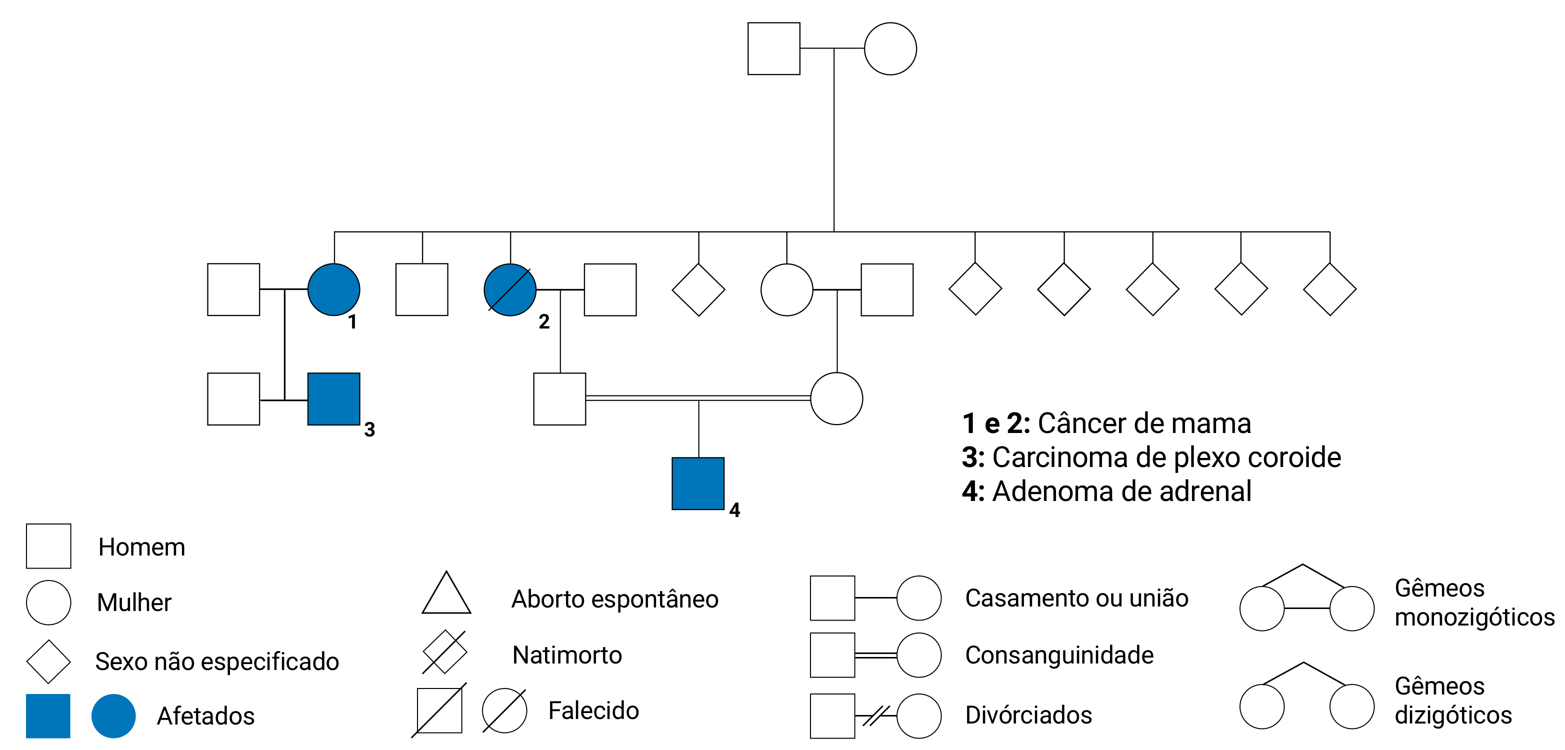 fig-semio-heredograma